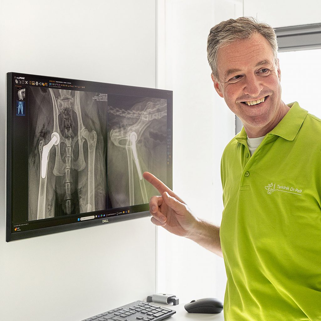 Bildgebung Röntgen Tierklinik Reif