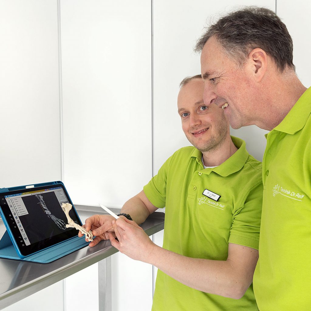 Tierklinik Reif Besprechung Ergebnisse
