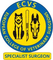 ECVS_SpecialistSurgeon_72dpi